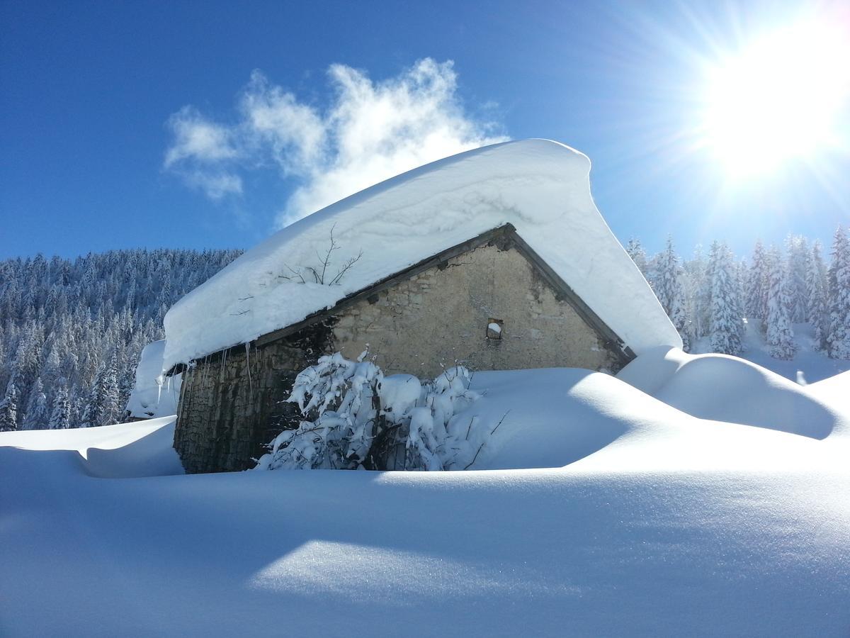 Alaska Clubresidence Folgaria Εξωτερικό φωτογραφία